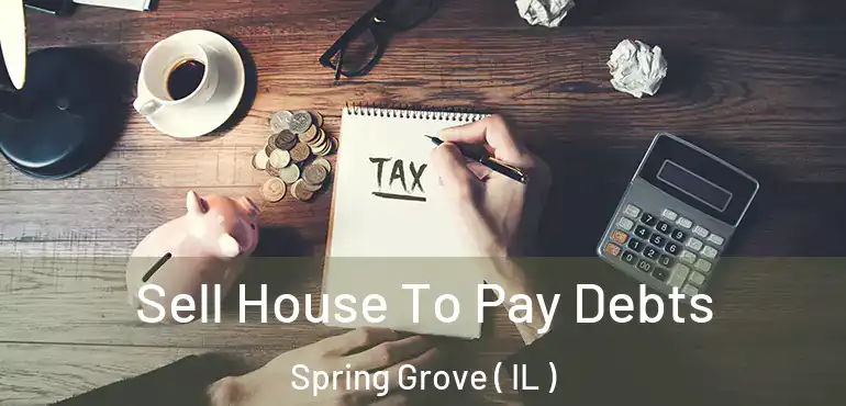  Sell House To Pay Debts Spring Grove ( IL )