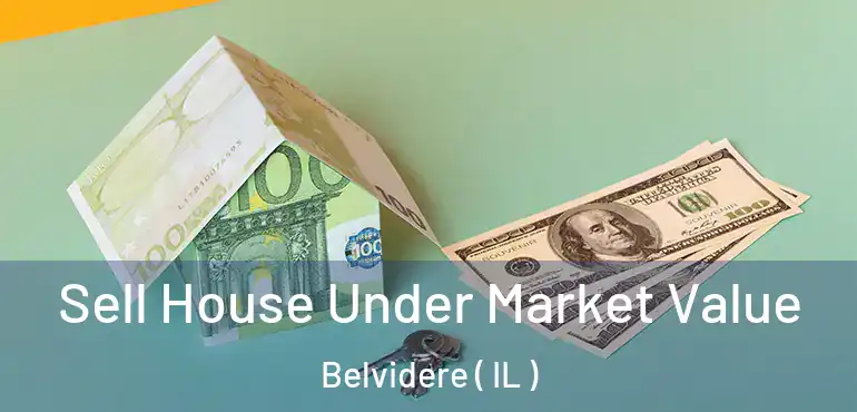  Sell House Under Market Value Belvidere ( IL )