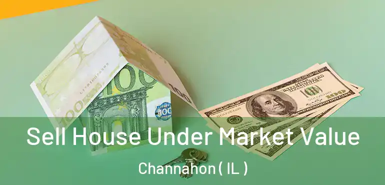  Sell House Under Market Value Channahon ( IL )