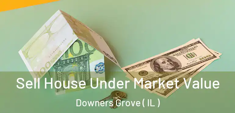  Sell House Under Market Value Downers Grove ( IL )