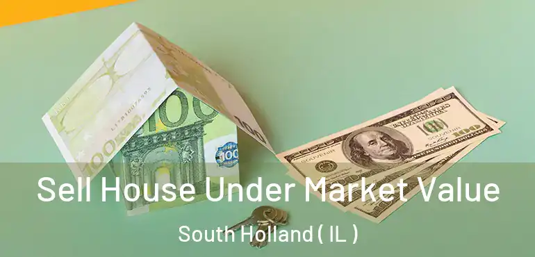  Sell House Under Market Value South Holland ( IL )