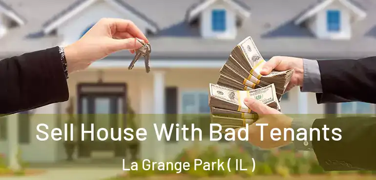 Sell House With Bad Tenants La Grange Park ( IL )