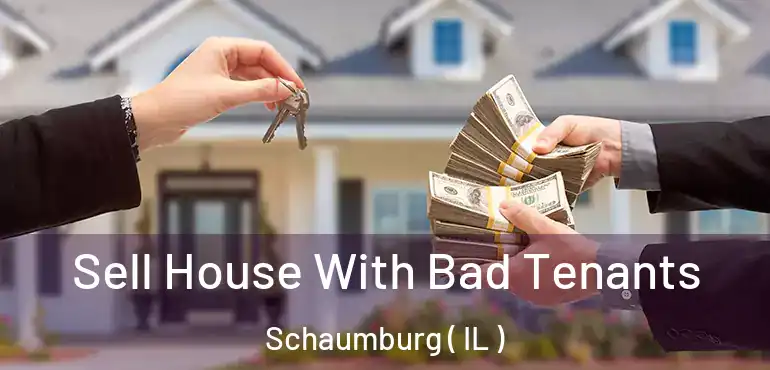  Sell House With Bad Tenants Schaumburg ( IL )