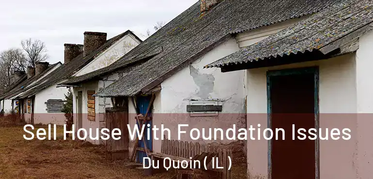  Sell House With Foundation Issues Du Quoin ( IL )