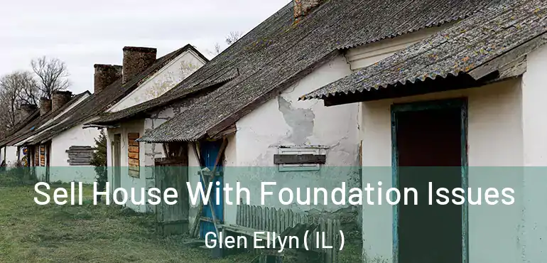  Sell House With Foundation Issues Glen Ellyn ( IL )