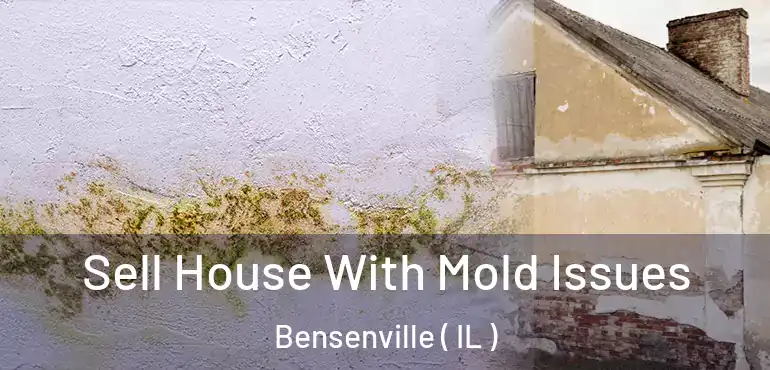  Sell House With Mold Issues Bensenville ( IL )