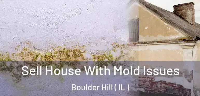  Sell House With Mold Issues Boulder Hill ( IL )