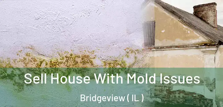  Sell House With Mold Issues Bridgeview ( IL )