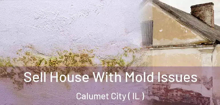  Sell House With Mold Issues Calumet City ( IL )