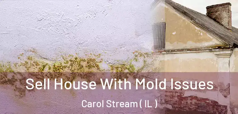  Sell House With Mold Issues Carol Stream ( IL )
