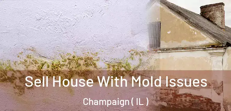  Sell House With Mold Issues Champaign ( IL )