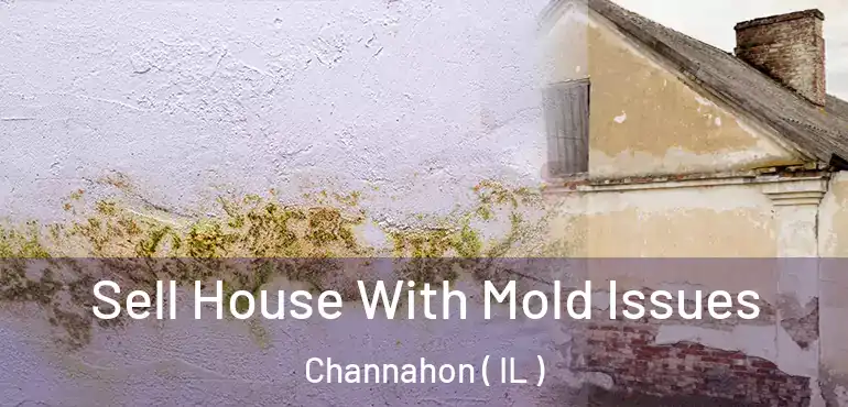  Sell House With Mold Issues Channahon ( IL )