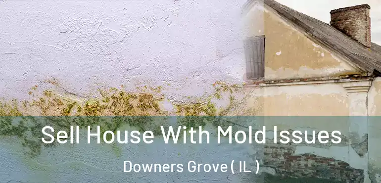  Sell House With Mold Issues Downers Grove ( IL )