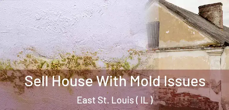  Sell House With Mold Issues East St. Louis ( IL )