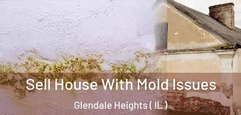  Sell House With Mold Issues Glendale Heights ( IL )