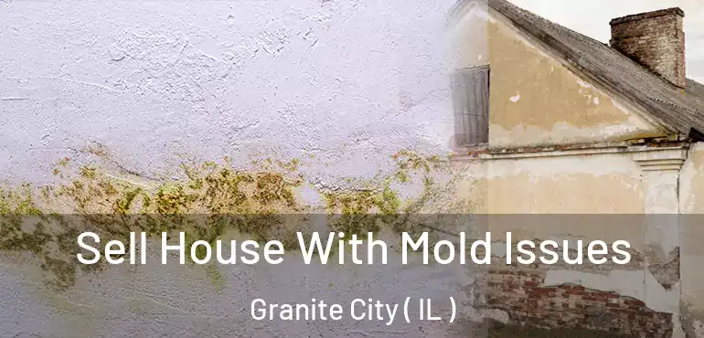  Sell House With Mold Issues Granite City ( IL )