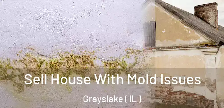  Sell House With Mold Issues Grayslake ( IL )