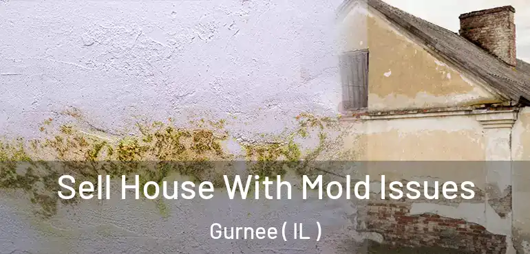  Sell House With Mold Issues Gurnee ( IL )