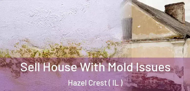  Sell House With Mold Issues Hazel Crest ( IL )