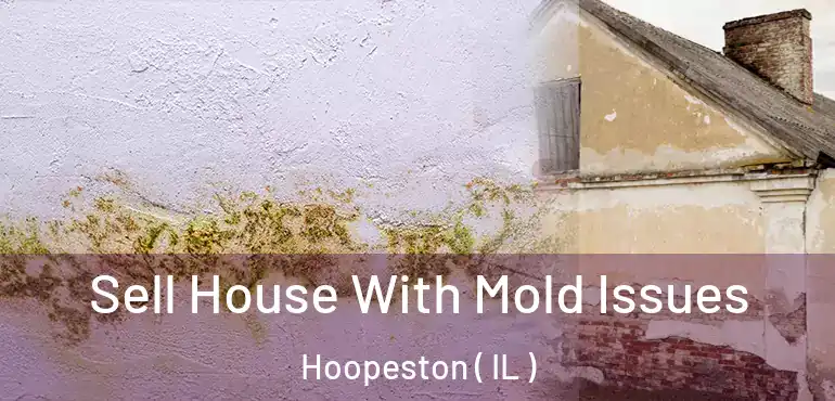  Sell House With Mold Issues Hoopeston ( IL )