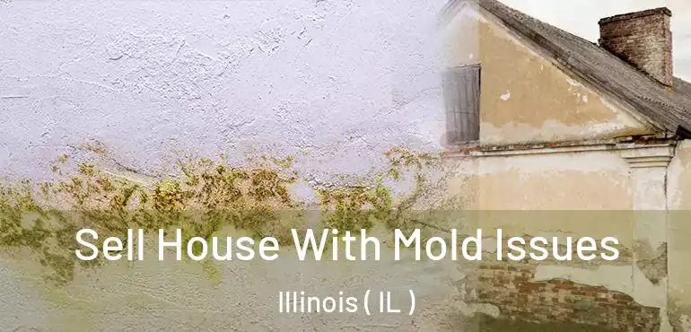  Sell House With Mold Issues Illinois ( IL )