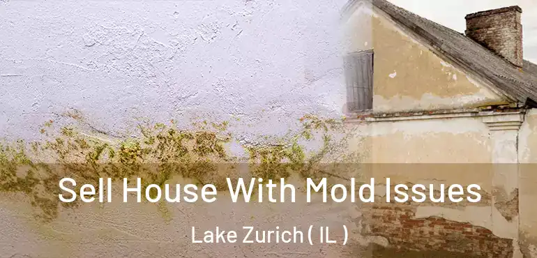  Sell House With Mold Issues Lake Zurich ( IL )