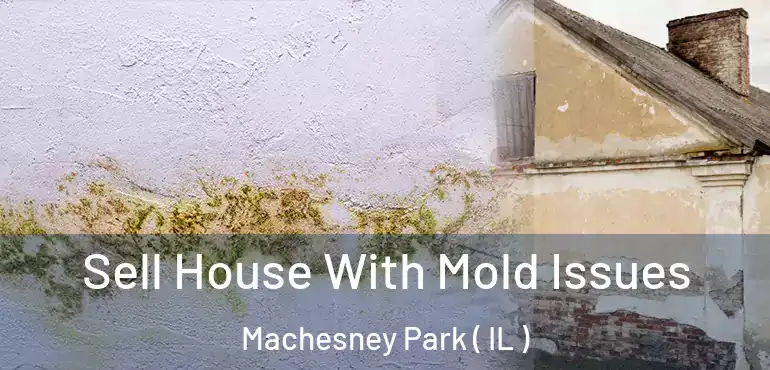  Sell House With Mold Issues Machesney Park ( IL )
