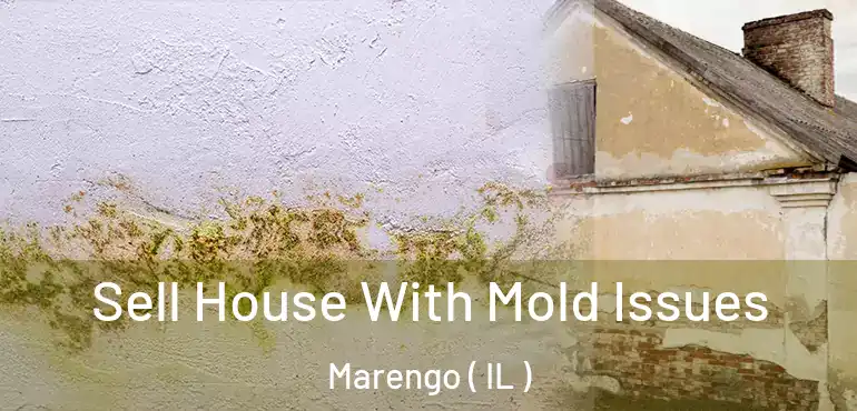  Sell House With Mold Issues Marengo ( IL )