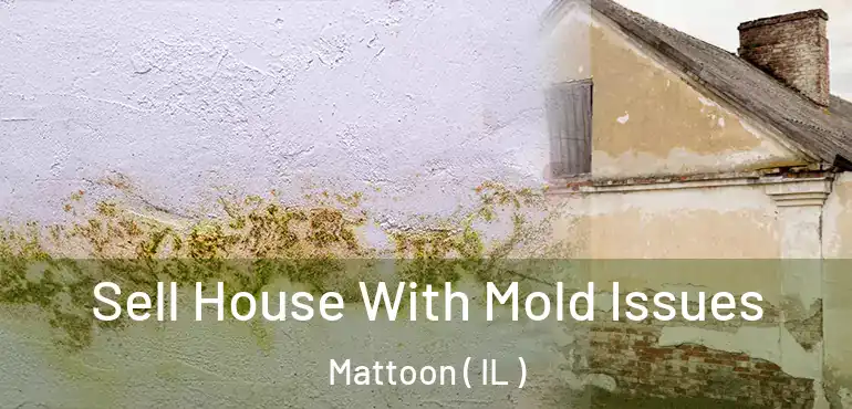  Sell House With Mold Issues Mattoon ( IL )