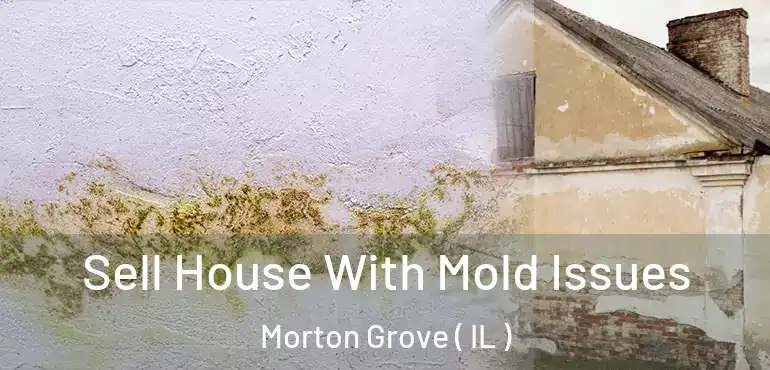  Sell House With Mold Issues Morton Grove ( IL )