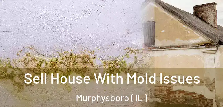  Sell House With Mold Issues Murphysboro ( IL )