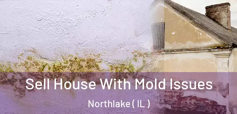  Sell House With Mold Issues Northlake ( IL )