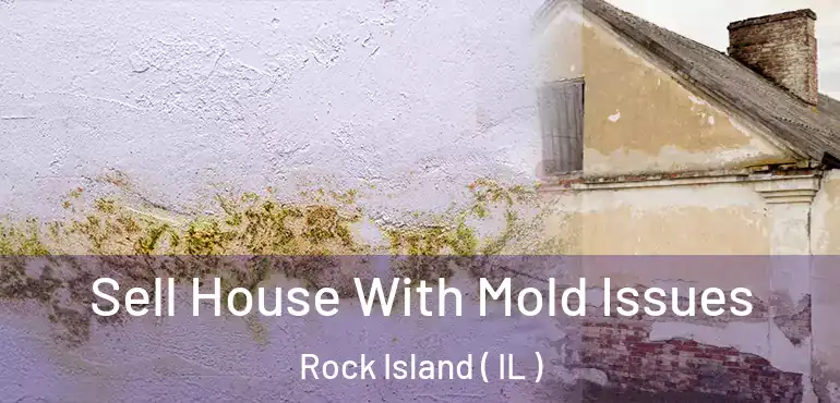  Sell House With Mold Issues Rock Island ( IL )