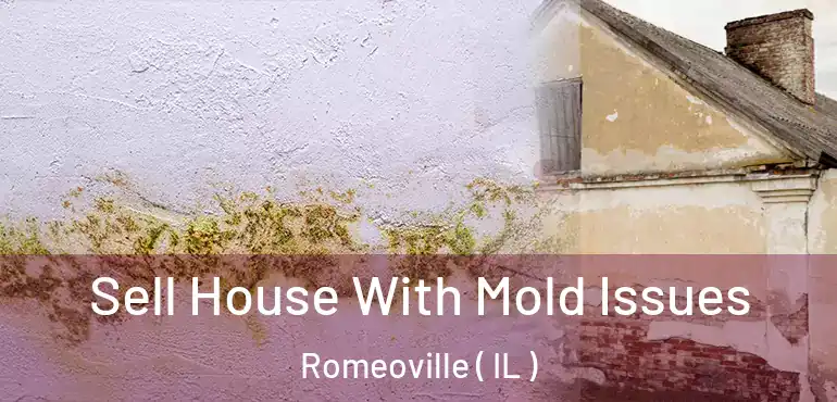  Sell House With Mold Issues Romeoville ( IL )