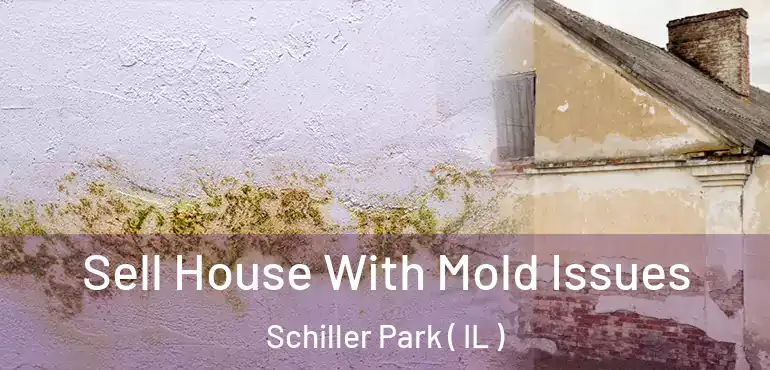  Sell House With Mold Issues Schiller Park ( IL )
