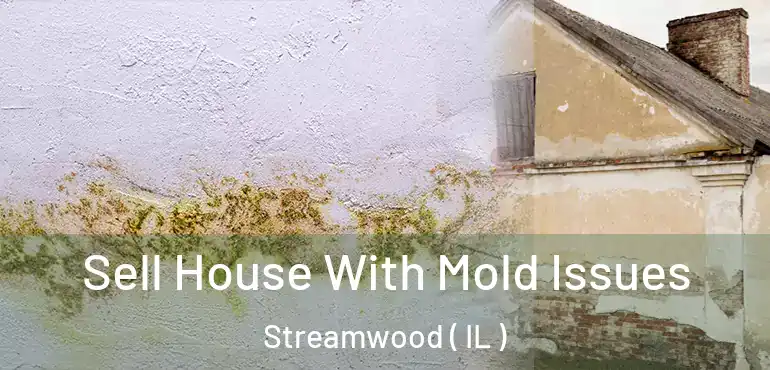  Sell House With Mold Issues Streamwood ( IL )