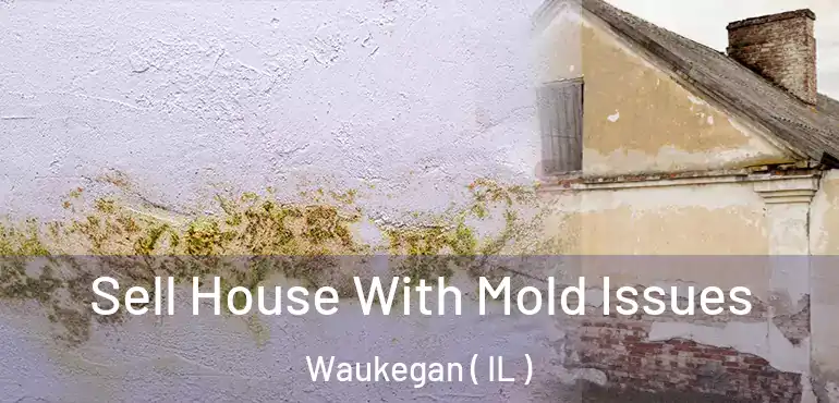  Sell House With Mold Issues Waukegan ( IL )
