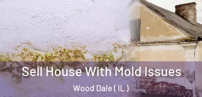  Sell House With Mold Issues Wood Dale ( IL )