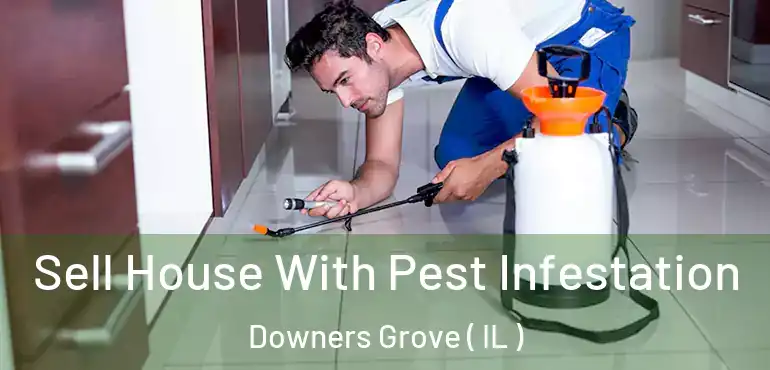  Sell House With Pest Infestation Downers Grove ( IL )