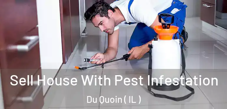  Sell House With Pest Infestation Du Quoin ( IL )