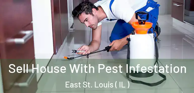  Sell House With Pest Infestation East St. Louis ( IL )