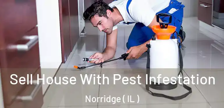  Sell House With Pest Infestation Norridge ( IL )