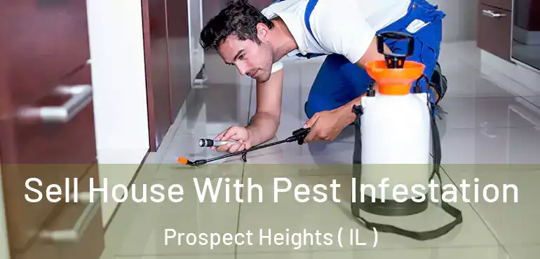  Sell House With Pest Infestation Prospect Heights ( IL )