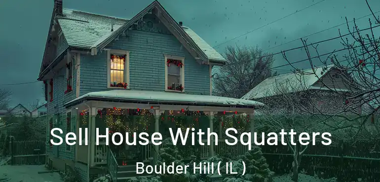 Sell House With Squatters Boulder Hill ( IL )