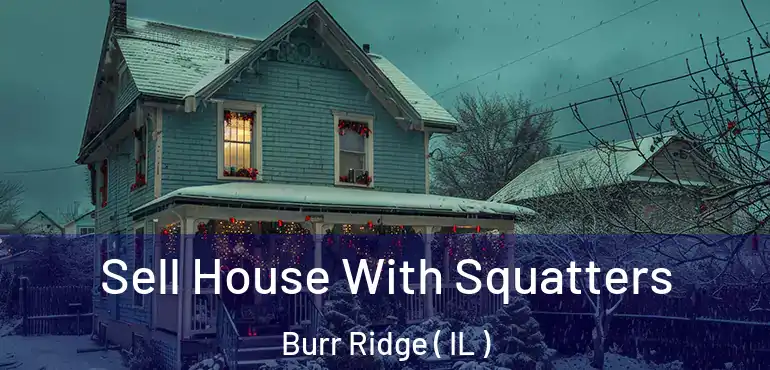  Sell House With Squatters Burr Ridge ( IL )
