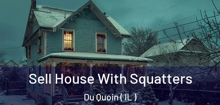  Sell House With Squatters Du Quoin ( IL )