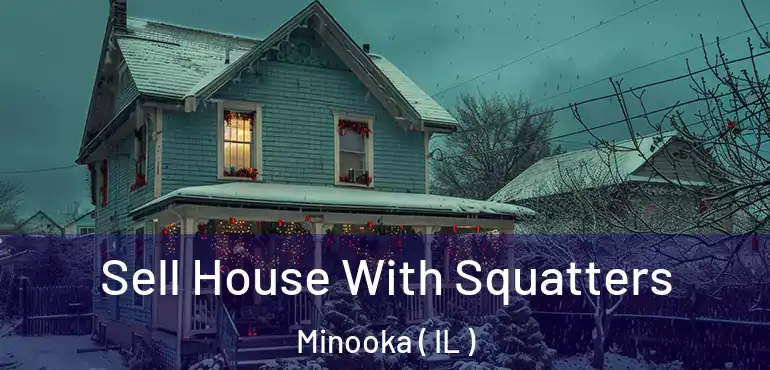  Sell House With Squatters Minooka ( IL )