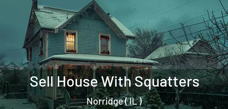  Sell House With Squatters Norridge ( IL )