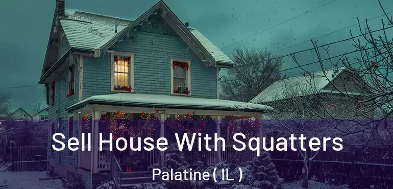  Sell House With Squatters Palatine ( IL )