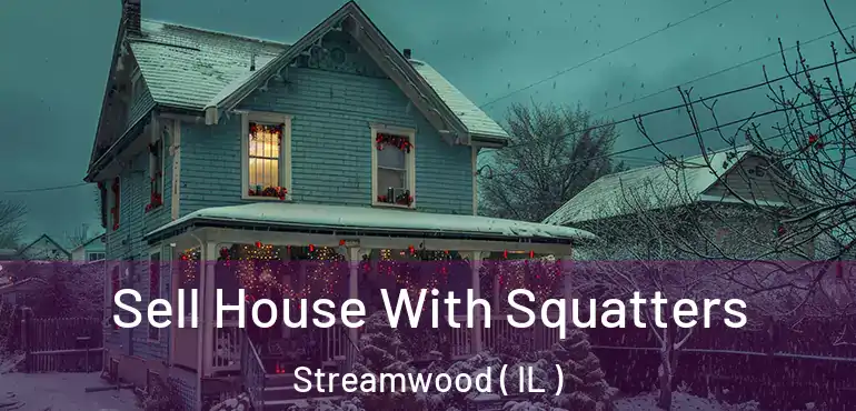  Sell House With Squatters Streamwood ( IL )